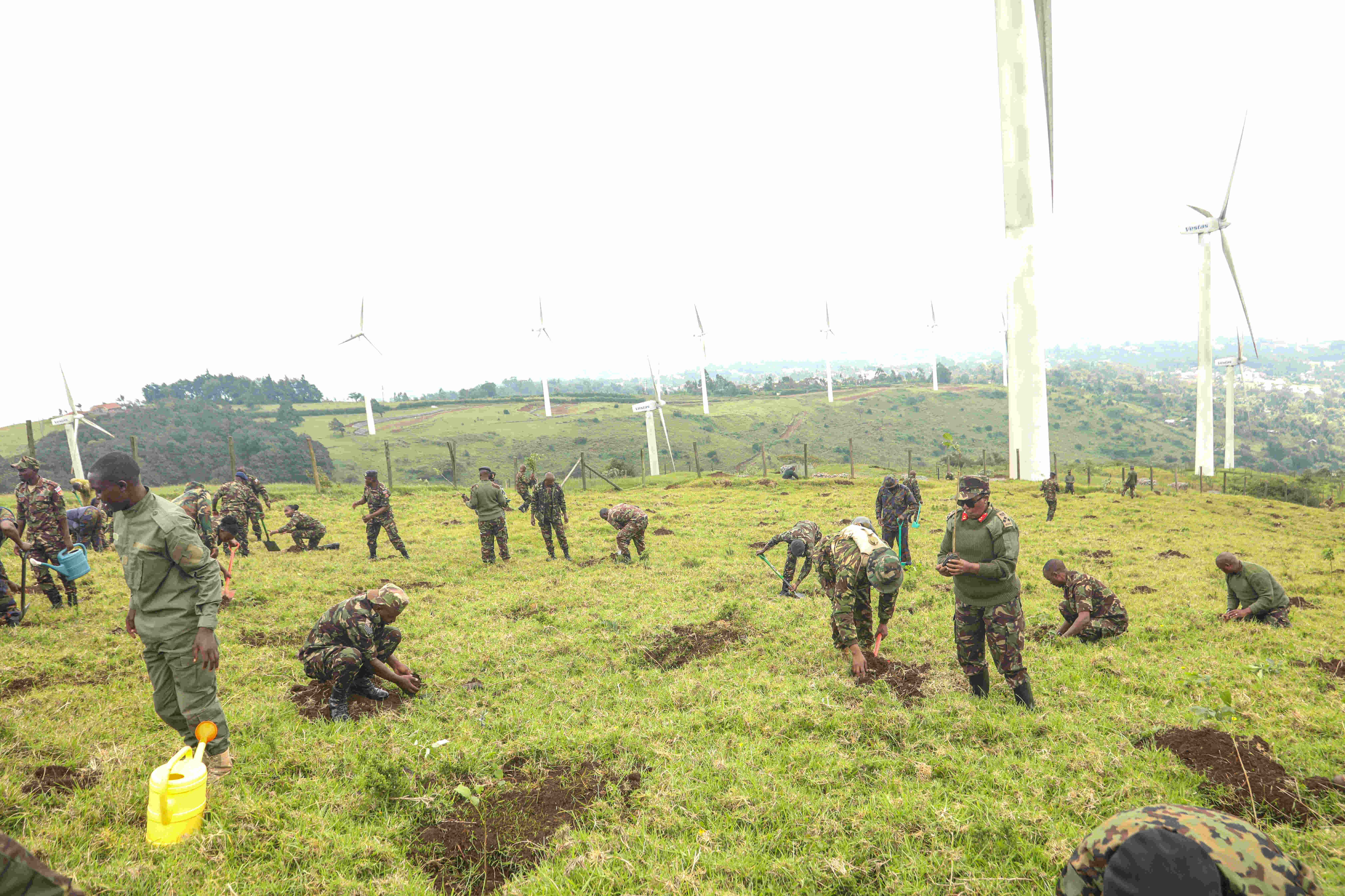Tree Planting April 2025 1 1
