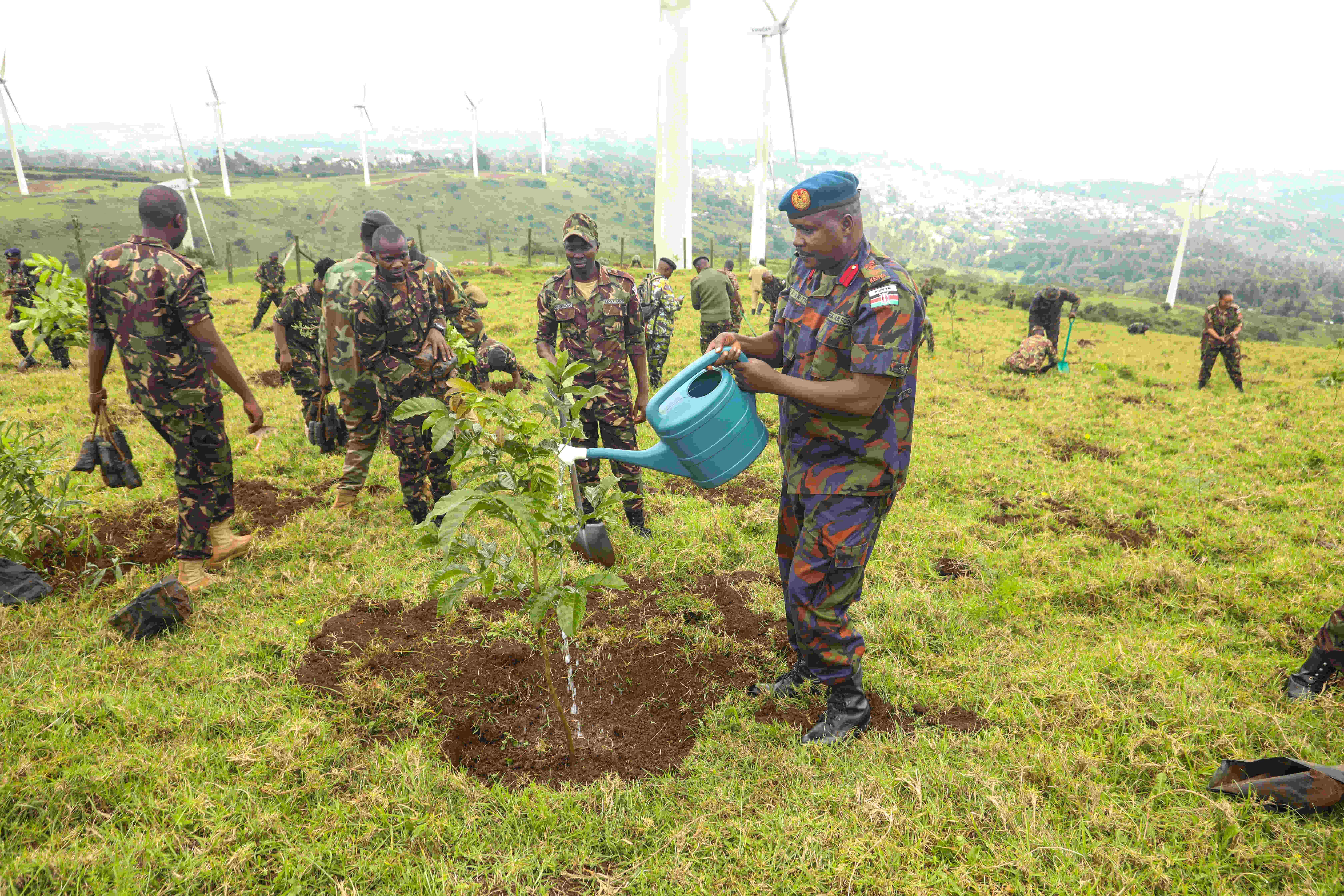 Tree Planting April 2025 5 1